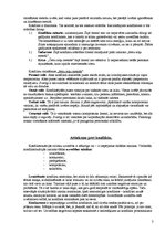 Referāts 'Konflikts', 3.