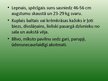 Prezentācija 'Samojeds', 26.