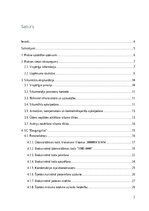 Prakses atskaite 'Prakses atskaite AS "Rīgas Siltums"', 2.