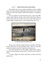 Prakses atskaite 'Prakses atskaite AS "Rīgas Siltums"', 24.