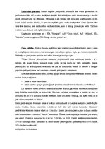 Referāts 'Materiāli dipolmdarbam', 7.