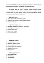 Referāts 'Materiāli dipolmdarbam', 19.