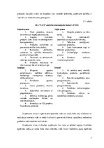 Biznesa plāns 'Biznesa plāns', 7.