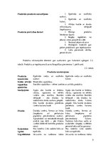 Biznesa plāns 'Biznesa plāns', 9.