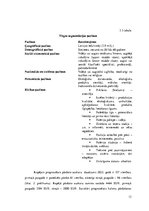 Biznesa plāns 'Biznesa plāns', 13.