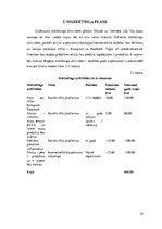 Biznesa plāns 'Biznesa plāns', 18.