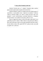 Biznesa plāns 'Biznesa plāns', 22.