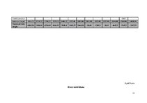 Biznesa plāns 'Biznesa plāns', 33.