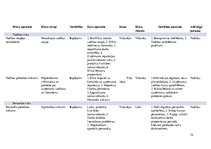 Biznesa plāns 'Biznesa plāns', 34.