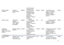 Biznesa plāns 'Biznesa plāns', 35.