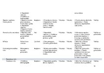 Biznesa plāns 'Biznesa plāns', 36.