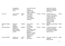 Biznesa plāns 'Biznesa plāns', 37.