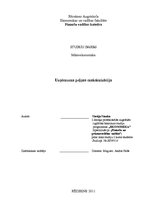 Referāts 'Uzņēmuma peļņas maksimizācija', 1.