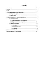 Referāts 'Uzņēmuma peļņas maksimizācija', 2.