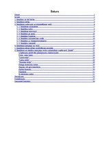 Referāts 'Reklāma', 1.