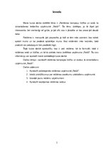 Referāts 'Reklāma', 2.