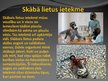 Prezentācija 'Skābie lieti', 8.