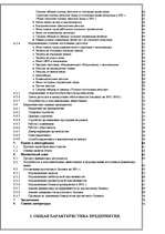 Biznesa plāns 'Бизнес план ', 2.