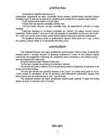 Biznesa plāns 'Azartspēļu uzņēmuma projekta izstrāde', 3.