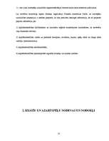 Biznesa plāns 'Azartspēļu uzņēmuma projekta izstrāde', 14.