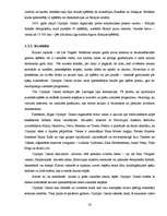 Biznesa plāns 'Azartspēļu uzņēmuma projekta izstrāde', 22.