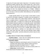 Biznesa plāns 'Azartspēļu uzņēmuma projekta izstrāde', 27.