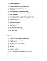 Biznesa plāns 'Azartspēļu uzņēmuma projekta izstrāde', 30.