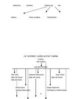 Biznesa plāns 'Azartspēļu uzņēmuma projekta izstrāde', 33.