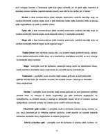 Biznesa plāns 'Azartspēļu uzņēmuma projekta izstrāde', 41.