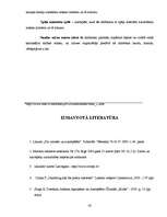 Biznesa plāns 'Azartspēļu uzņēmuma projekta izstrāde', 42.