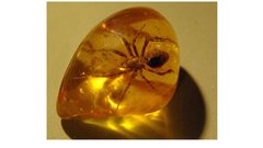 Prezentācija 'Mana Latvija', 42.