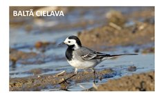 Prezentācija 'Mana Latvija', 53.