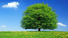 Prezentācija 'Mana Latvija', 64.