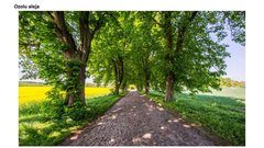 Prezentācija 'Mana Latvija', 72.