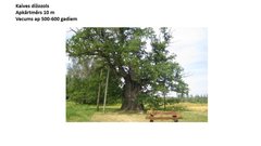 Prezentācija 'Mana Latvija', 73.