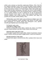 Konspekts 'Ķērpji', 7.