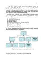 Referāts 'Uzņēmuma vadīšana mainīgas ārējās vides apstākļos', 12.