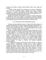 Referāts 'Silto grīdu apkures sistēmas', 25.