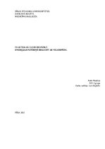 Konspekts 'Sporta biomehānika', 1.