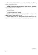 Referāts 'Krievvalodīgie Latvijā', 33.