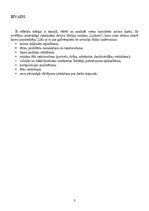 Referāts 'Arturs Heilija romāns ''Lidosta''', 3.