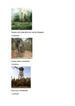 Referāts 'Ziemassvētku kaujas', 33.