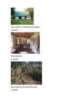 Referāts 'Ziemassvētku kaujas', 34.