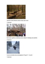 Referāts 'Ziemassvētku kaujas', 36.