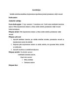 Referāts 'Radošās attīstības sekmēšana daiļliteratūras iepazīšanas procesā pirmsskolas vid', 2.