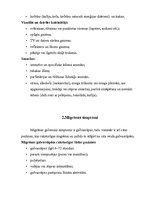 Konspekts 'Galvassāpes - migrēna', 5.