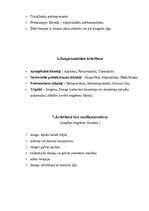 Konspekts 'Galvassāpes - migrēna', 8.