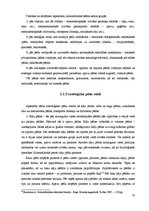 Referāts 'Kriminālistiskās tehnikas nozares', 10.