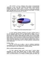 Referāts 'GNT finanšu analīze', 1.