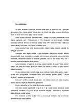 Referāts 'Peru', 8.